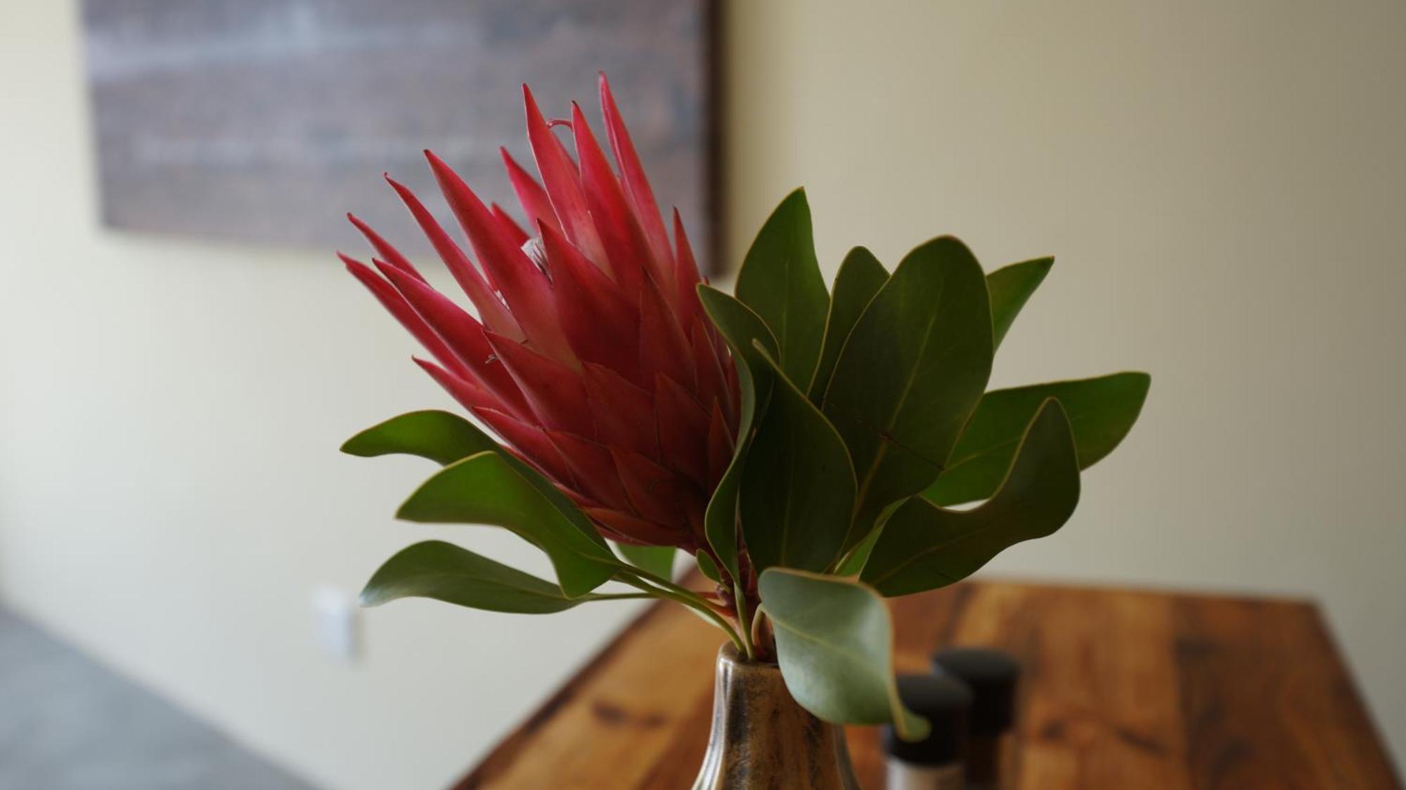 Stellar Overberg Travellers Lodge Napier Eksteriør bilde
