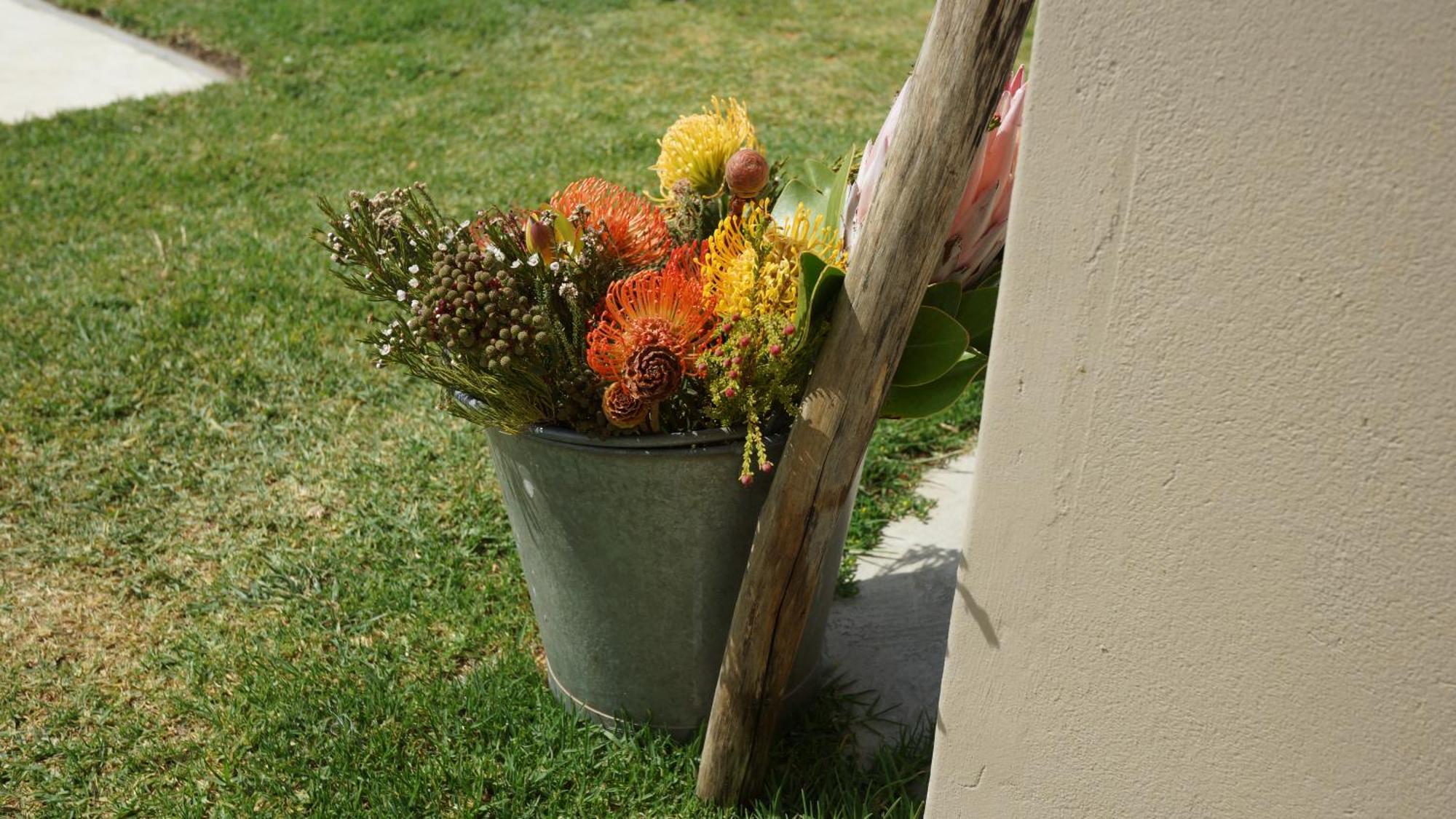 Stellar Overberg Travellers Lodge Napier Eksteriør bilde