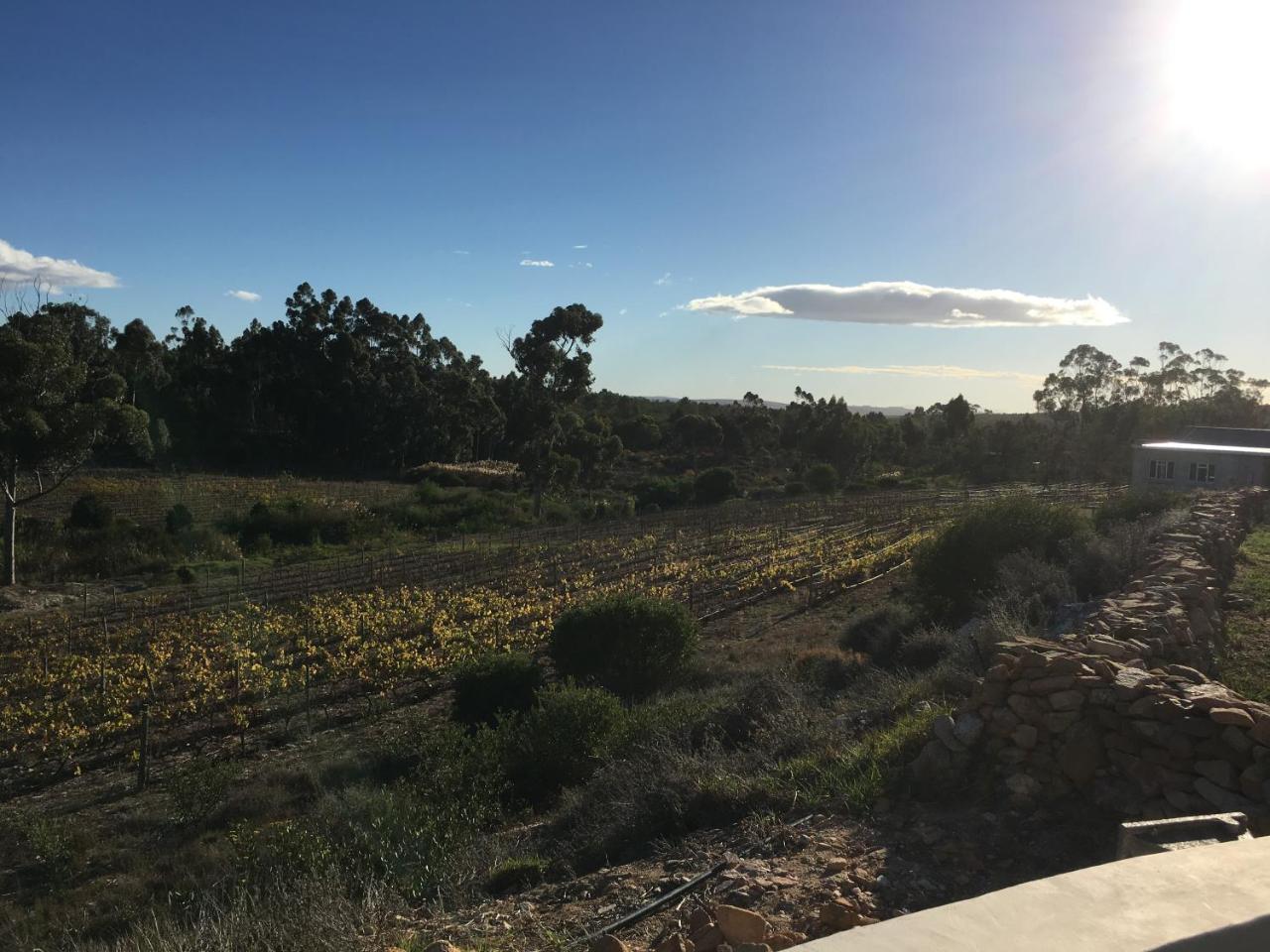 Stellar Overberg Travellers Lodge Napier Eksteriør bilde