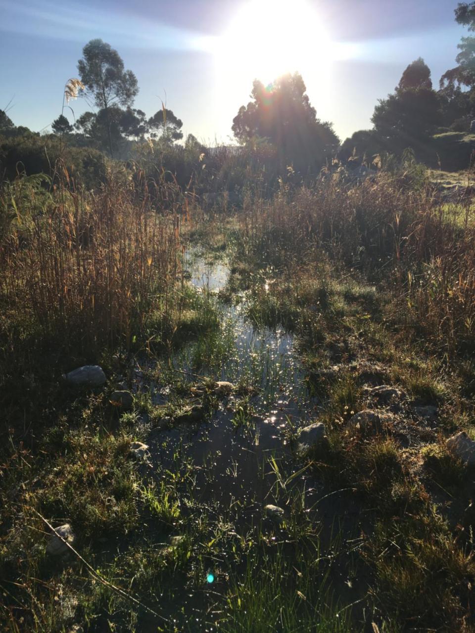 Stellar Overberg Travellers Lodge Napier Eksteriør bilde