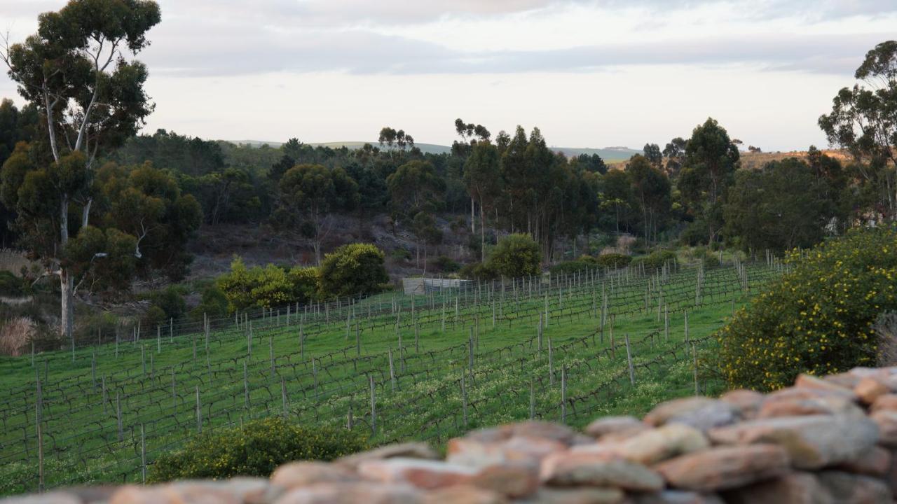 Stellar Overberg Travellers Lodge Napier Eksteriør bilde